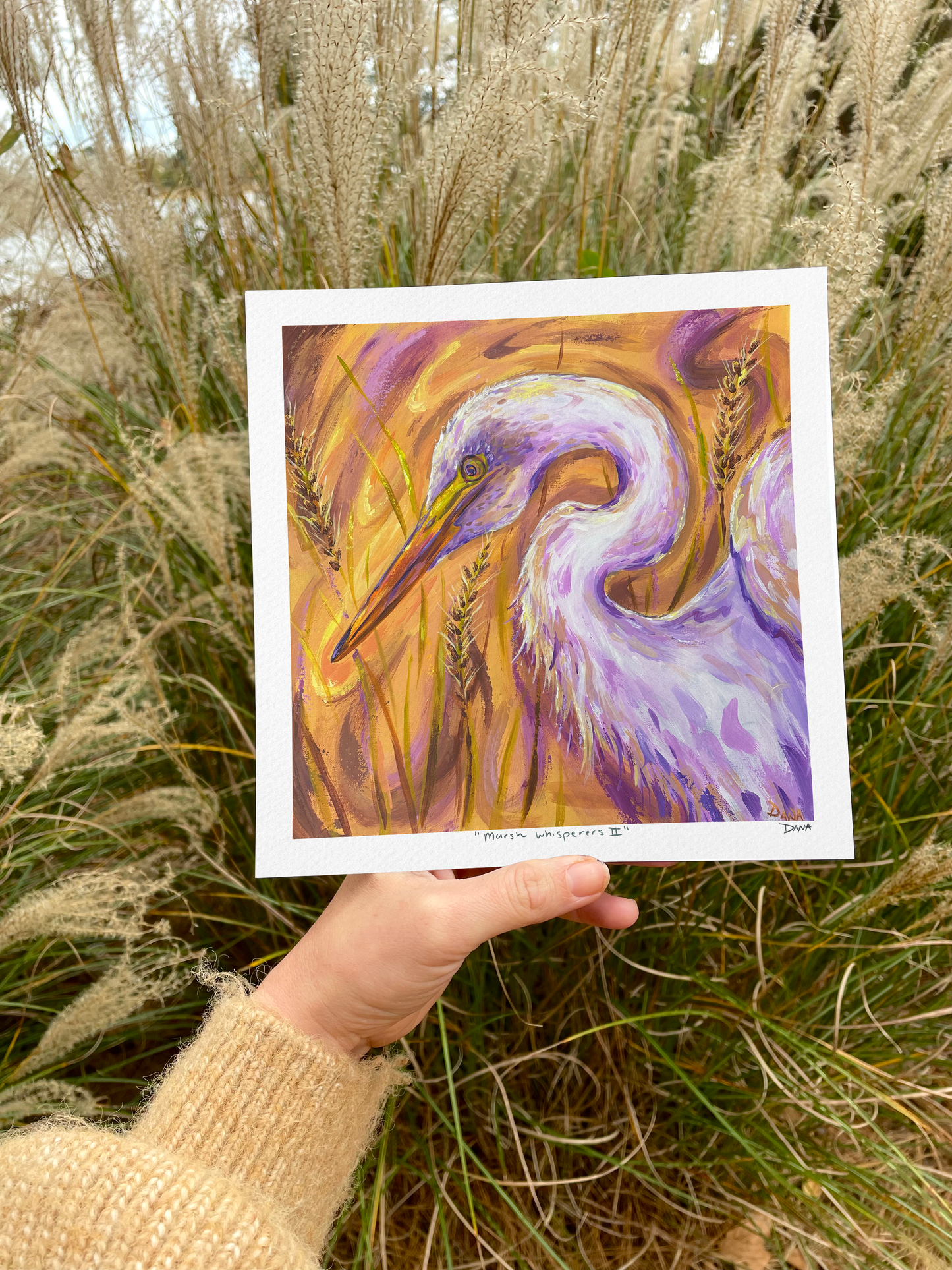 Marsh Whisperers II