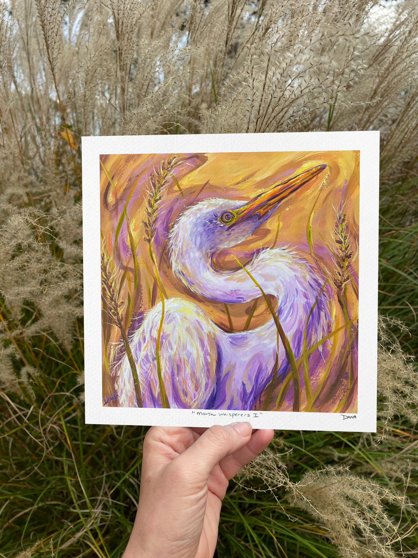 Marsh Whisperers I