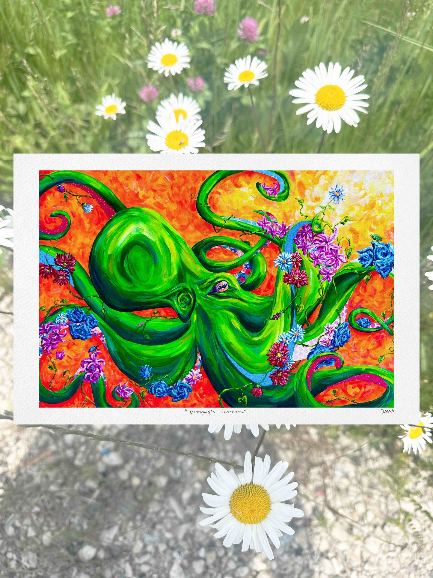 Octopus's Garden