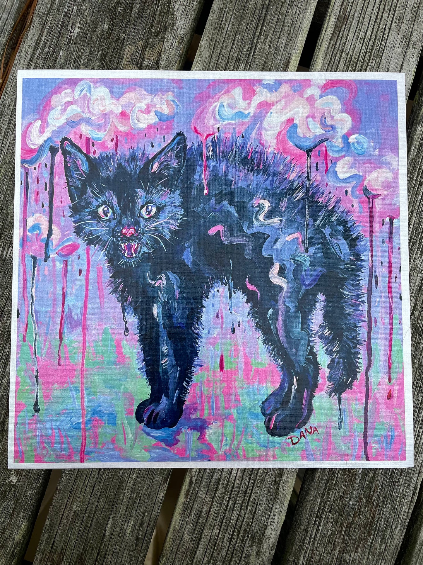 Spicy Kitty Paper Print