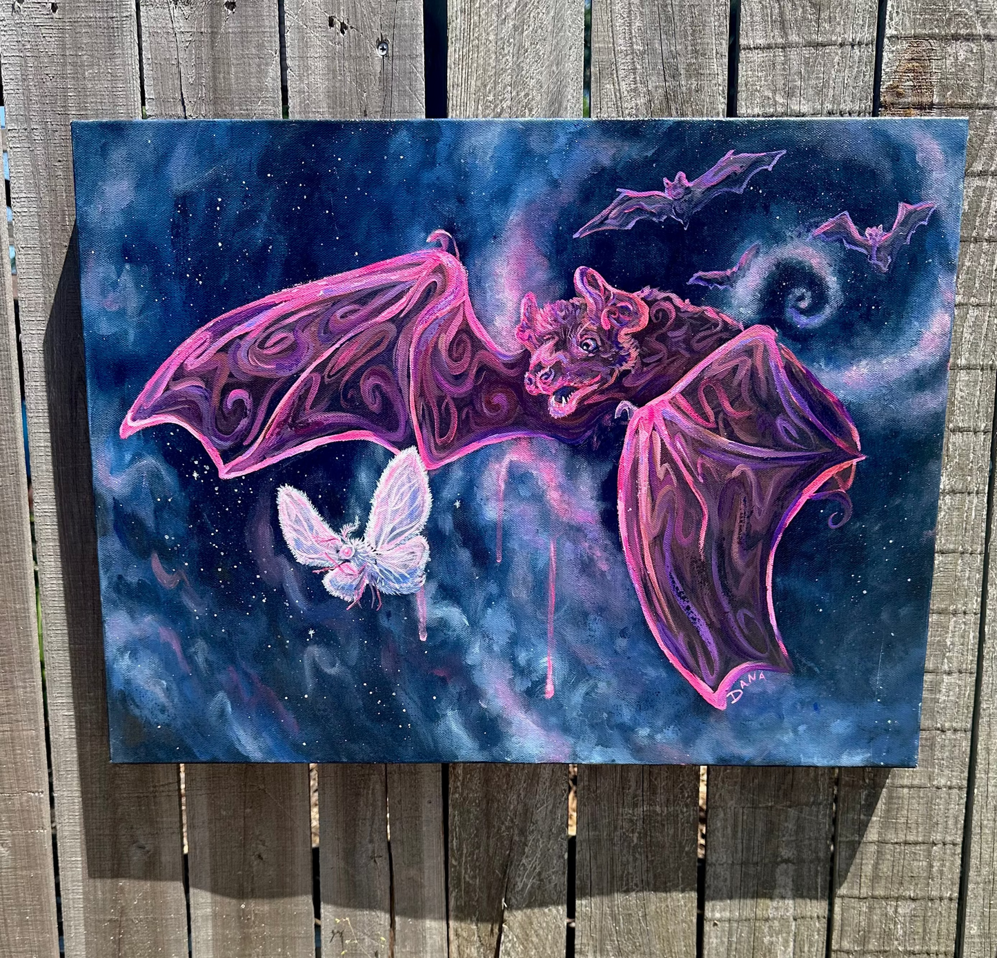 Blindly Chasing Light