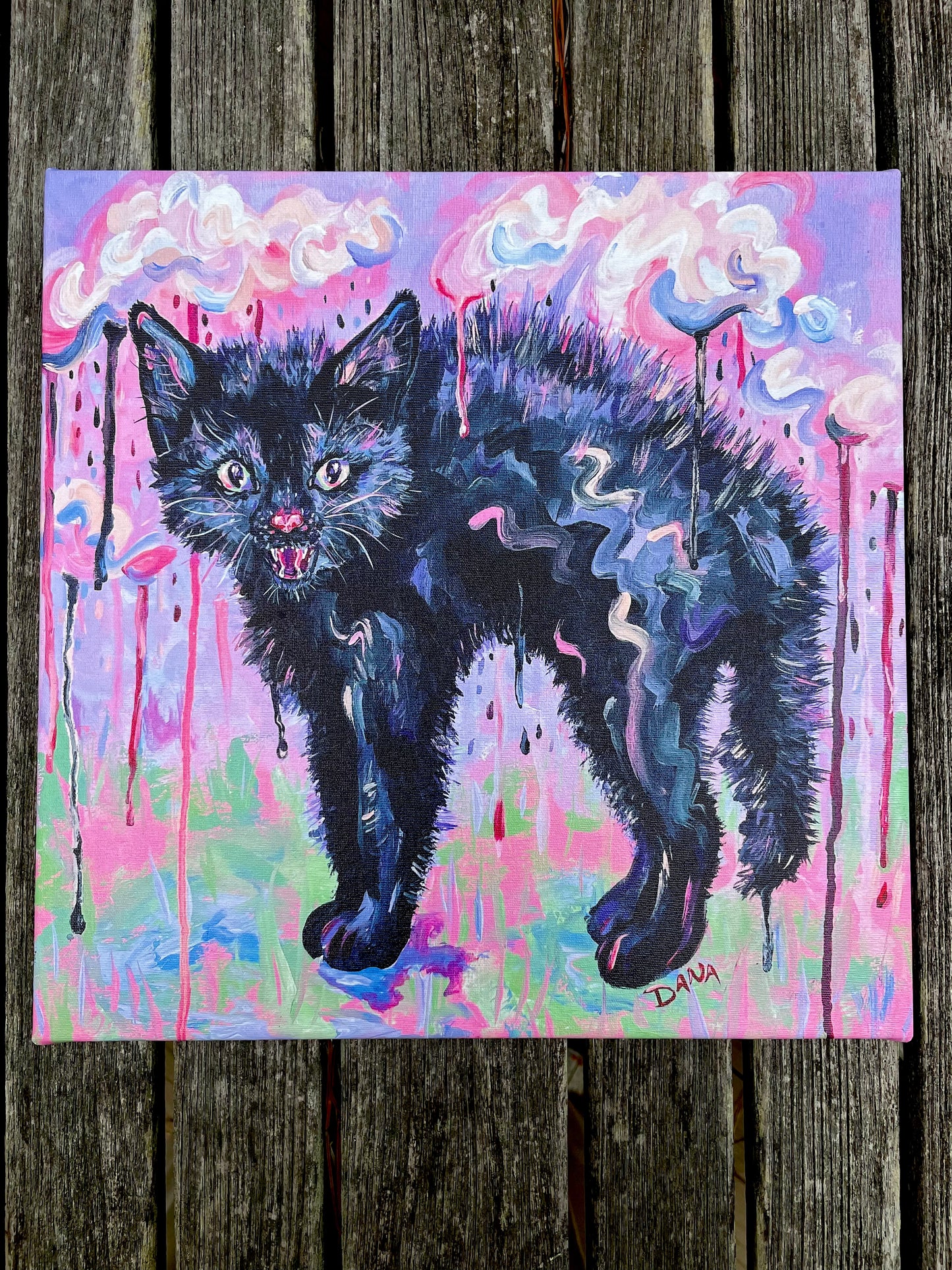 Spicy Kitty Canvas Print