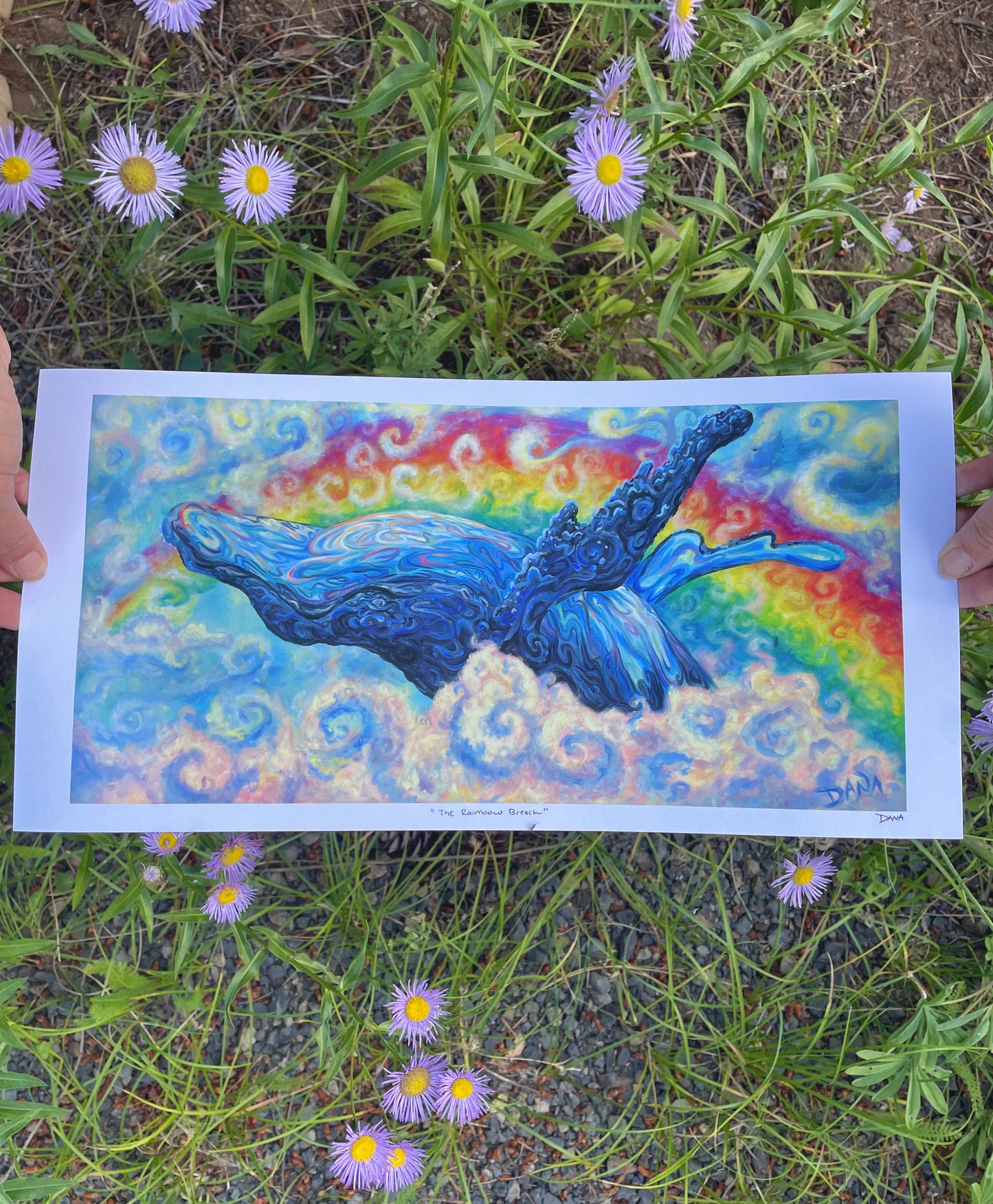 The Rainbow Breach
