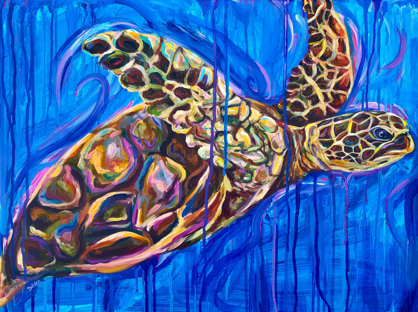Painted Shell Archival Giclee
