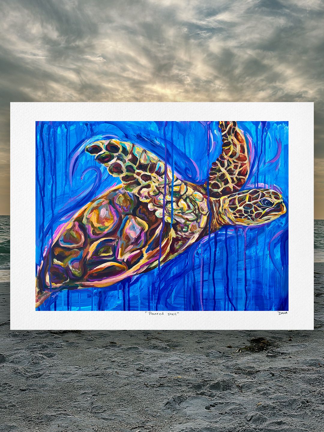 Painted Shell