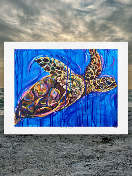 Painted Shell